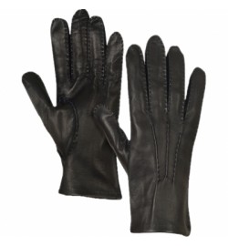 Dressing Gloves